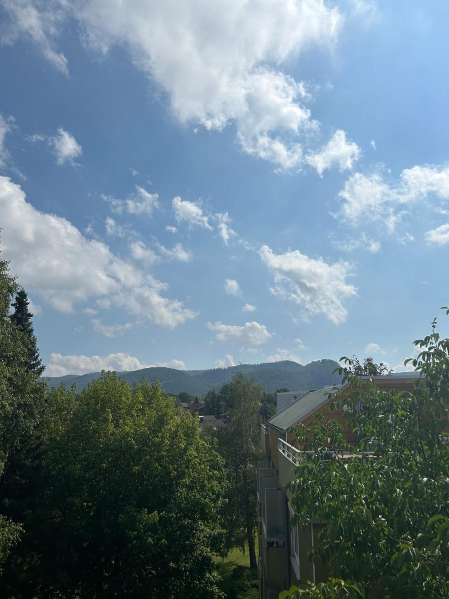 Penthouse ,,Kleine Auszeit" Lägenhet Bad Harzburg Exteriör bild