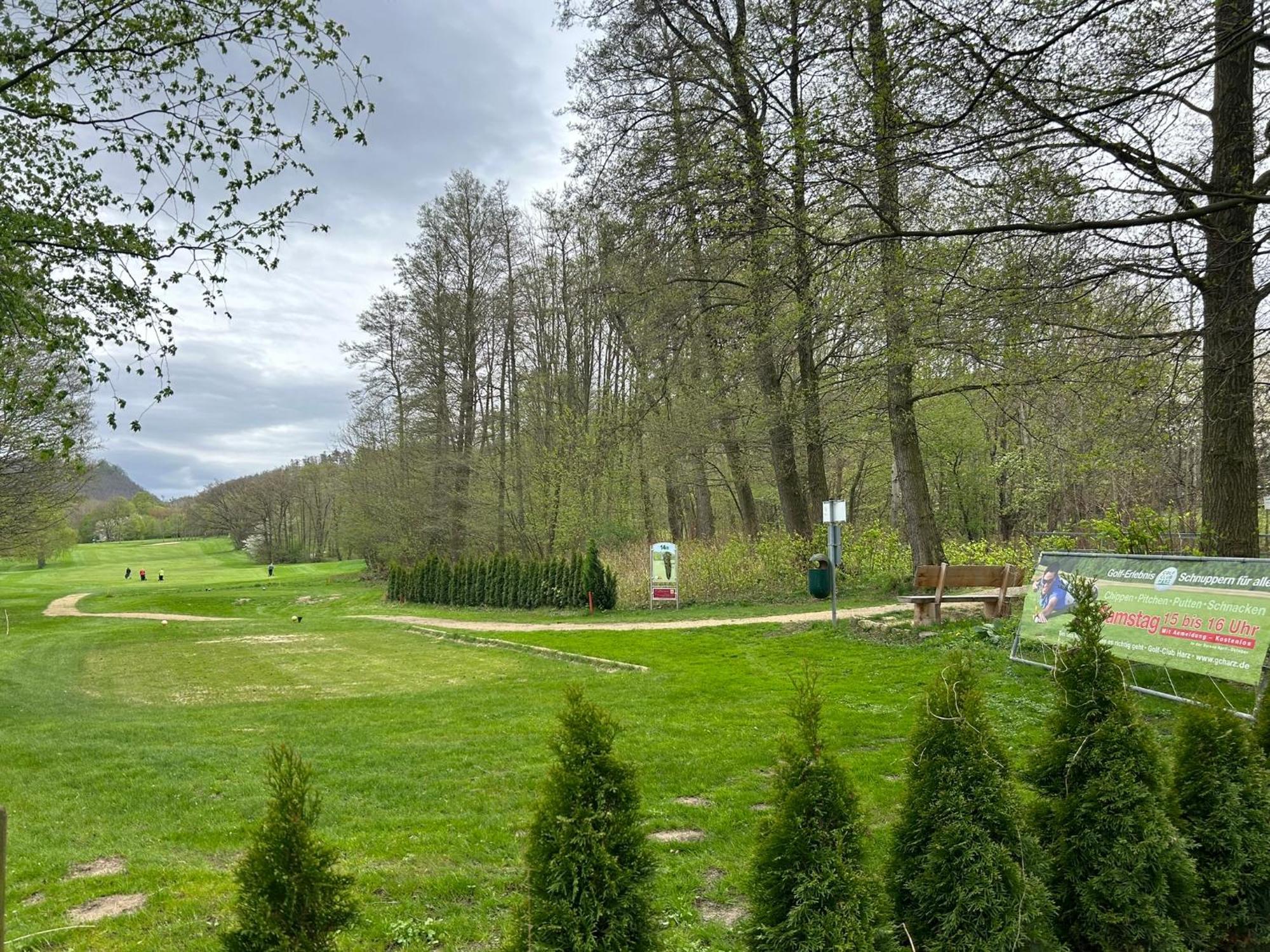 Penthouse ,,Kleine Auszeit" Lägenhet Bad Harzburg Exteriör bild